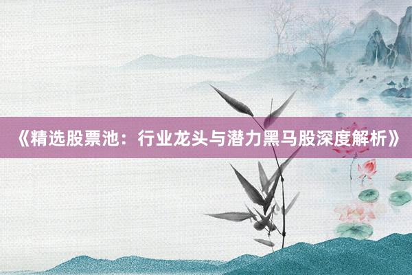 《精选股票池：行业龙头与潜力黑马股深度解析》