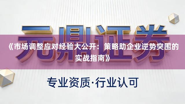 《市场调整应对经验大公开：策略助企业逆势突围的实战指南》