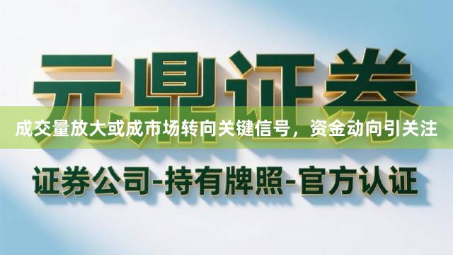 成交量放大或成市场转向关键信号，资金动向引关注