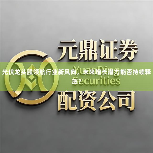光伏龙头股领航行业新风向，未来增长潜力能否持续释放？