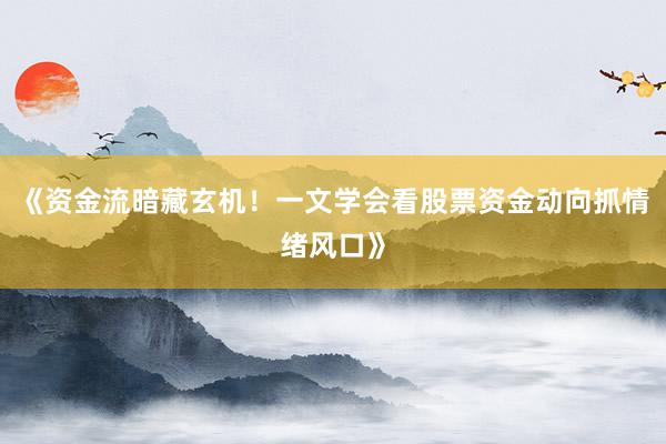 《资金流暗藏玄机！一文学会看股票资金动向抓情绪风口》