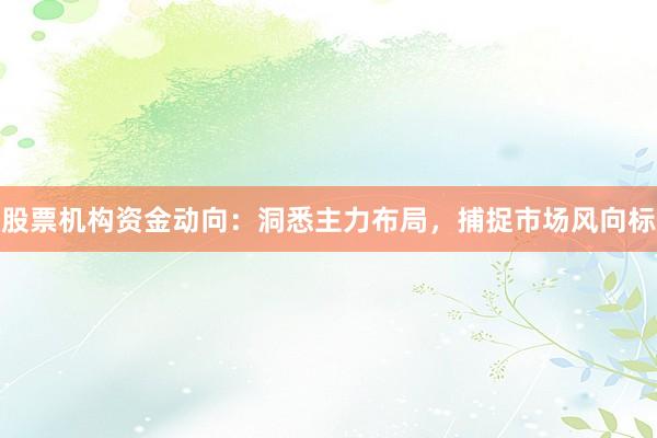 股票机构资金动向：洞悉主力布局，捕捉市场风向标
