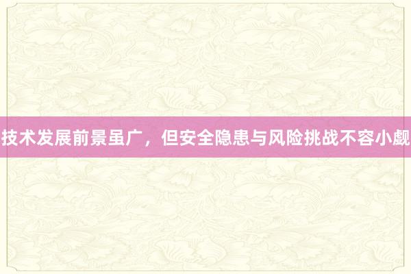 技术发展前景虽广，但安全隐患与风险挑战不容小觑