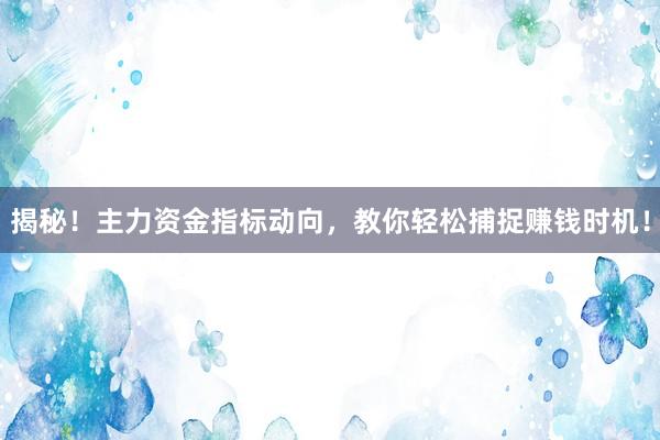揭秘！主力资金指标动向，教你轻松捕捉赚钱时机！