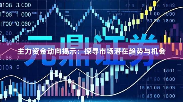 主力资金动向揭示：探寻市场潜在趋势与机会