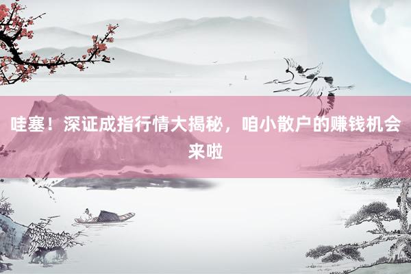 哇塞！深证成指行情大揭秘，咱小散户的赚钱机会来啦