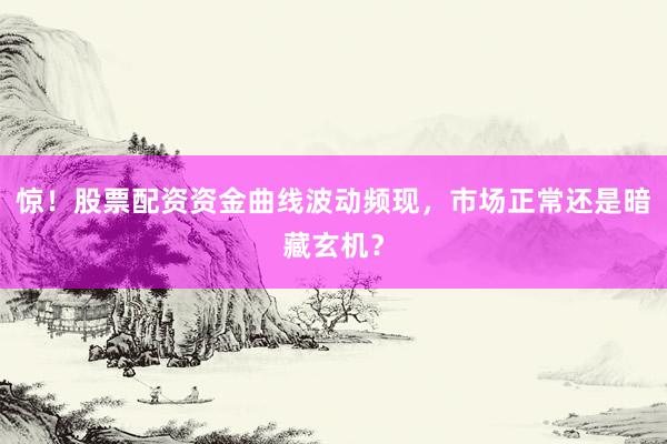 惊！股票配资资金曲线波动频现，市场正常还是暗藏玄机？